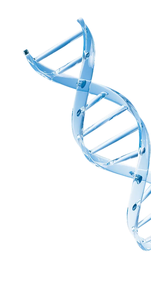 DNA double helix