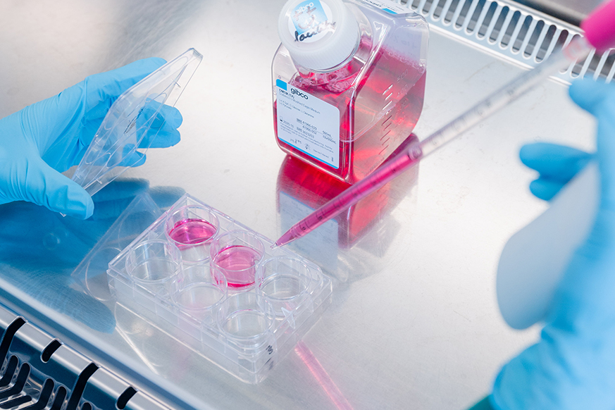 Cell culture preparation